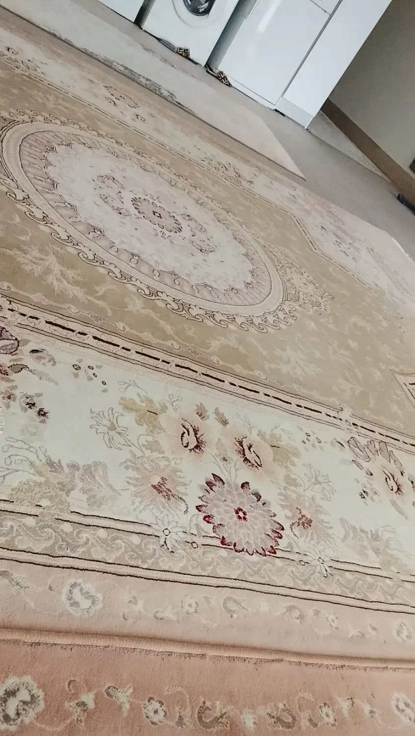 فرش 12متری|فرش|سبزوار, قلعه‌نو دهزار|دیوار