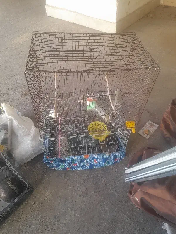 قفس قناری|لوازم جانبی حیوانات|مبارکه, |دیوار