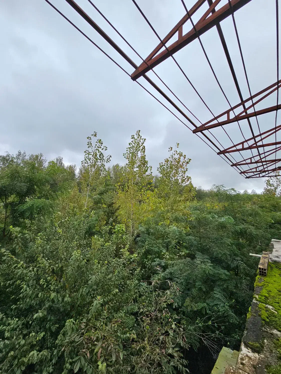 فروش ویلای ویودار/مناسب تفریح/ تاکسی خور|فروش خانه و ویلا|تالش, هشتپر|دیوار