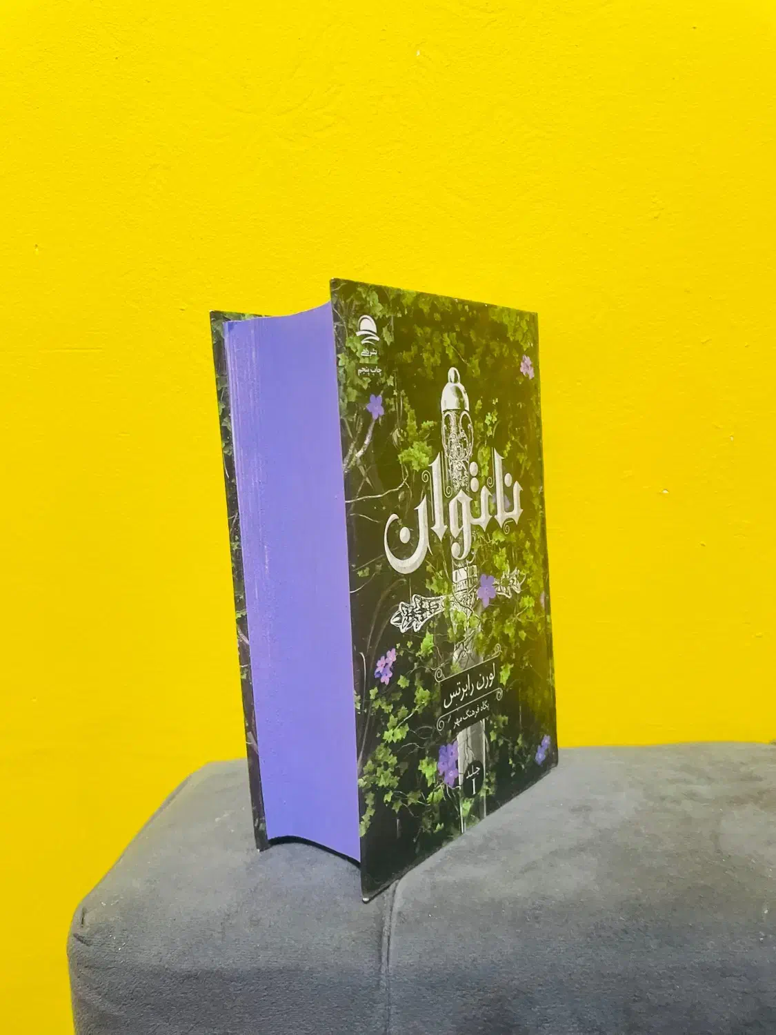 رمان ناتوان جلد ۱|کتاب و مجله تاریخی|اهواز, اهواز|دیوار