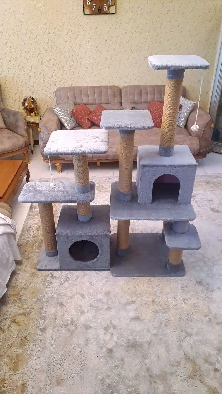 خانه گربه اسکرچر|لوازم جانبی حیوانات|مشهد, نیروی هوایی|دیوار