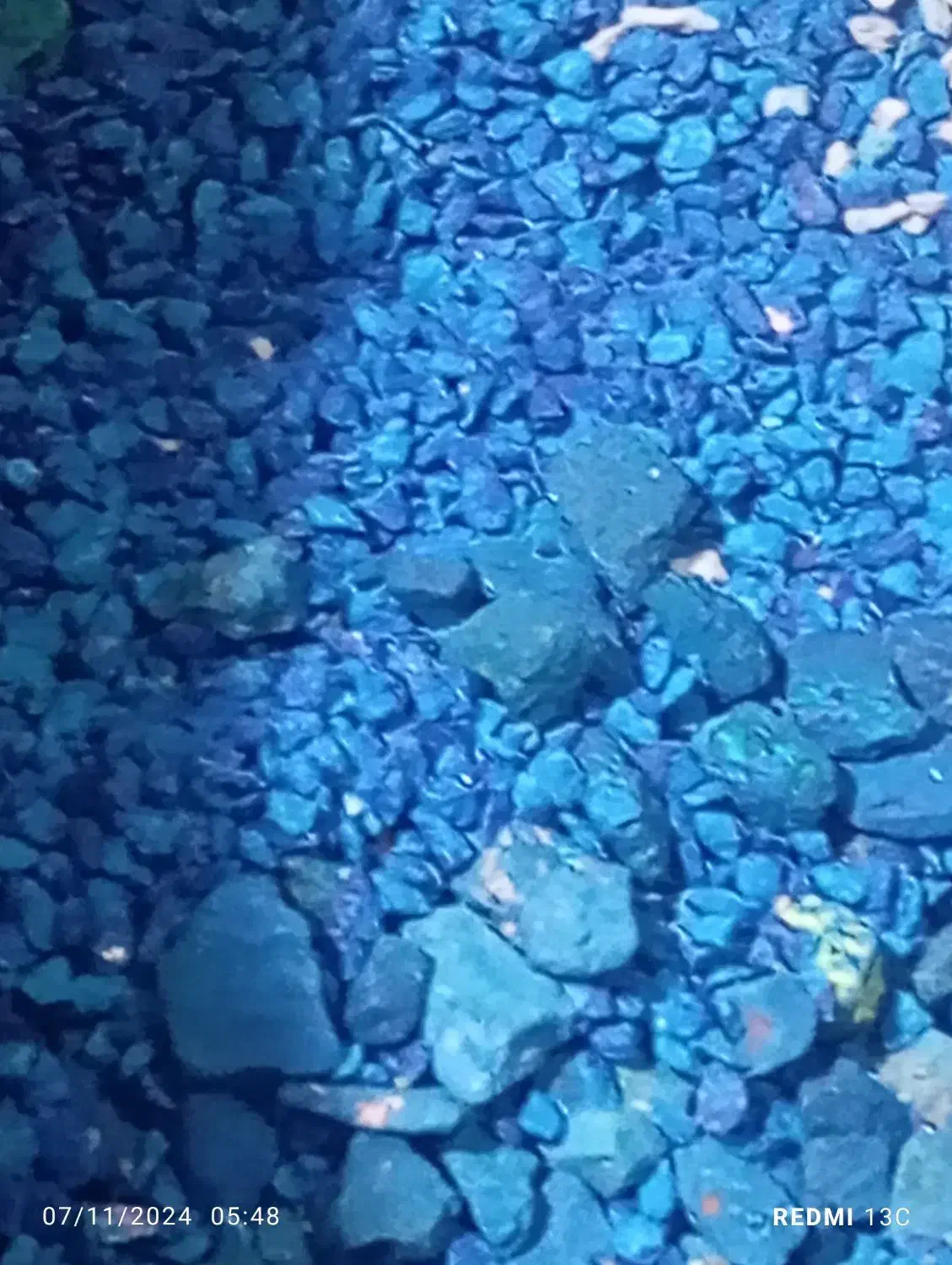 سنگ آکواریوم رنگی|حراج|قدس, شهرقدس|دیوار