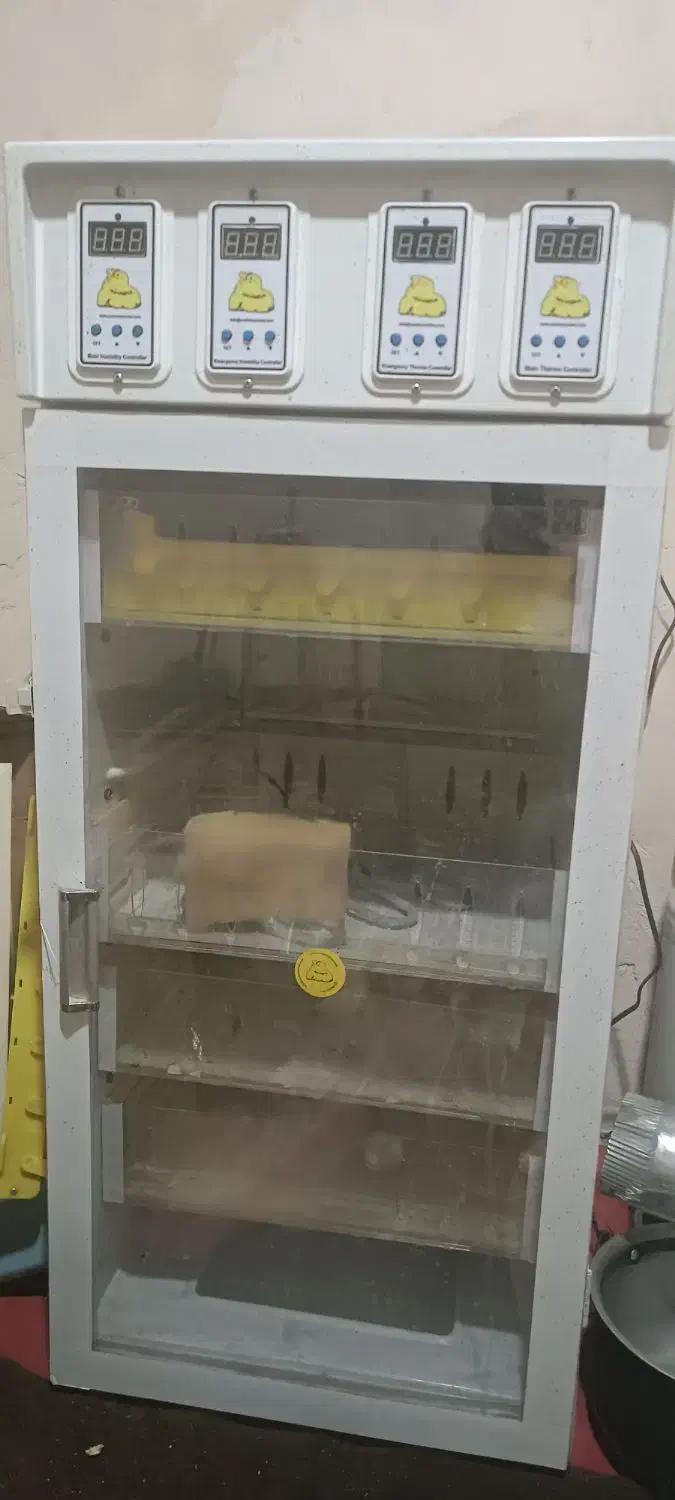 دستگاه جوجه کشی کاکس تمام اتوماتیک|لوازم جانبی حیوانات|اردبیل, |دیوار