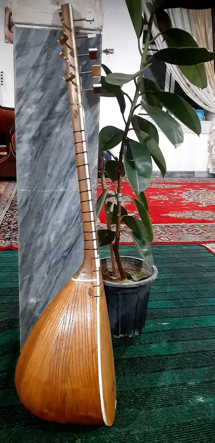 ...ساز سنتی چگور|سازهای سنتی|شراء, |دیوار