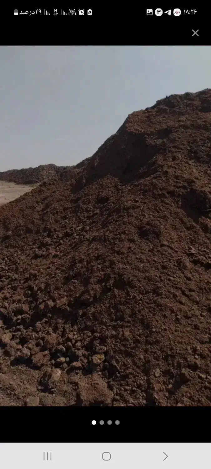 بارکودگاوی وگوسفندی|خدمات باغبانی و درختکاری|گلبهار, شهر جدید گلبهار|دیوار