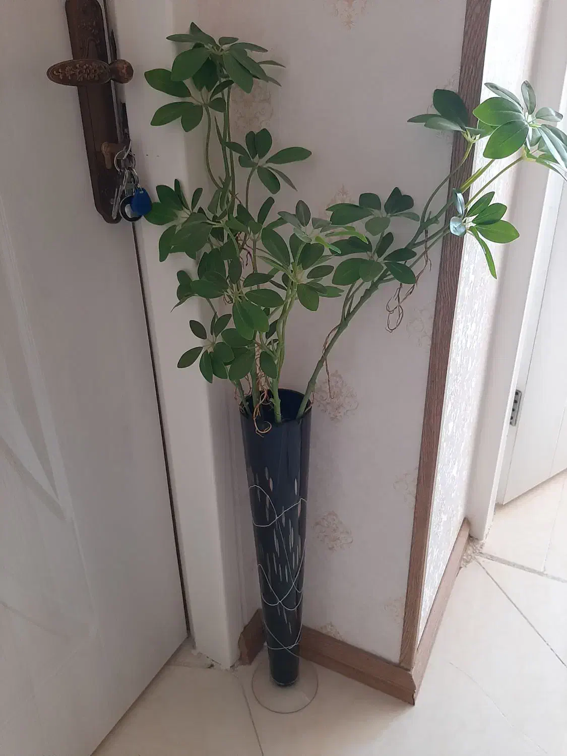 گل مصنوعی و گلدان|گل مصنوعی|شیراز, شیمی گیاه|دیوار