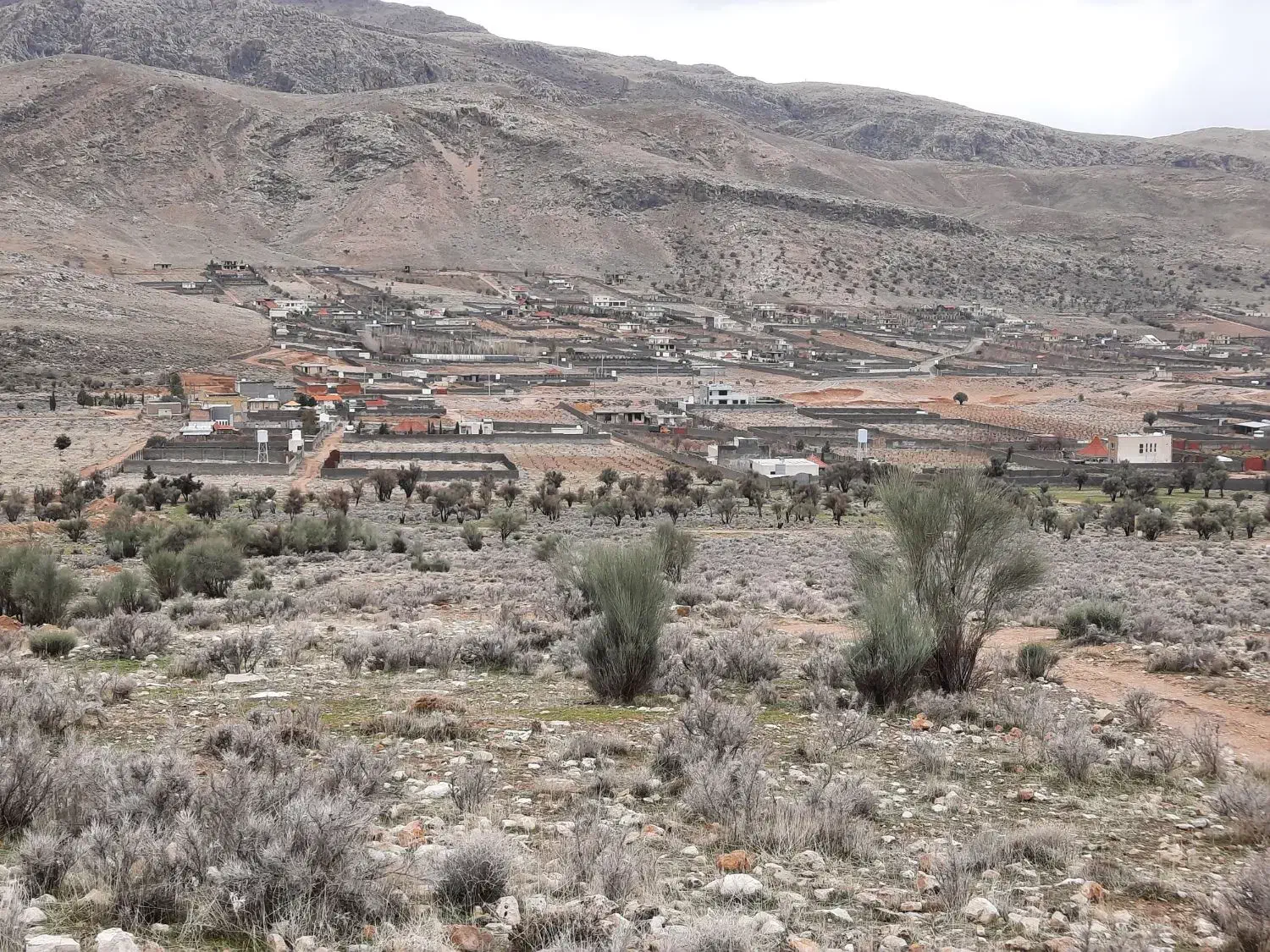فروش زمین ۵۰۰ متری در باجگاه|فروش زمین و ملک کلنگی|شیراز, رکن‌آباد|دیوار