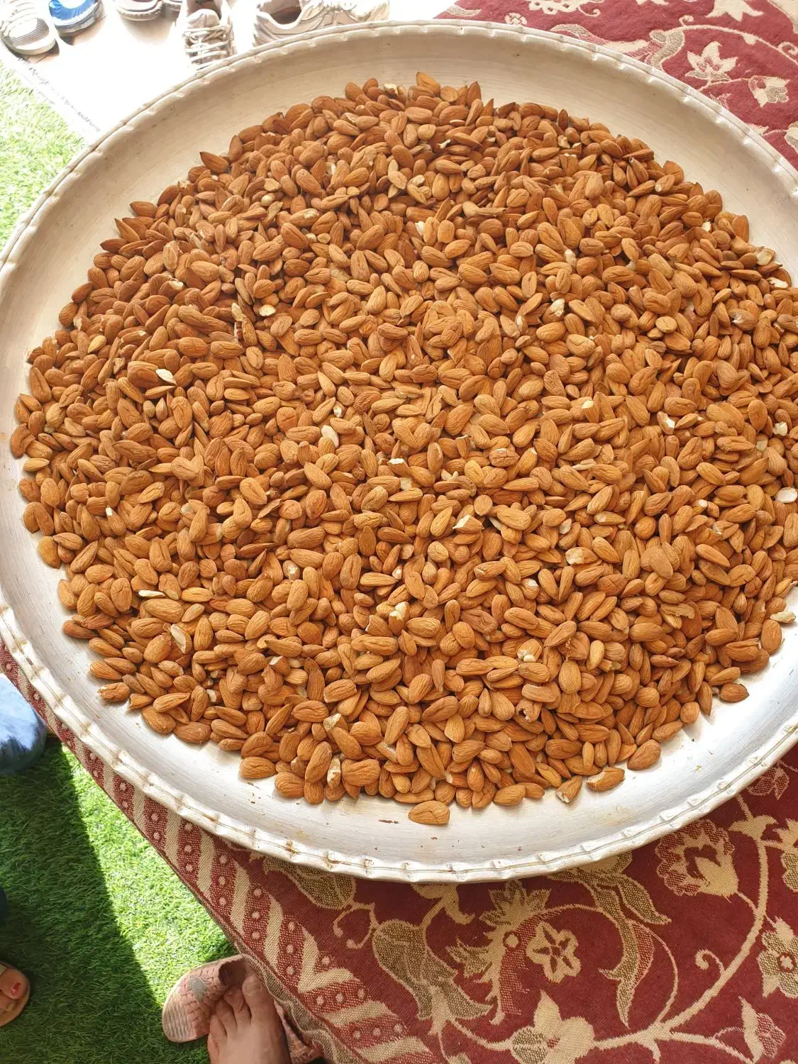 بادام شاهرودی|خوردنی و آشامیدنی|کیار, |دیوار