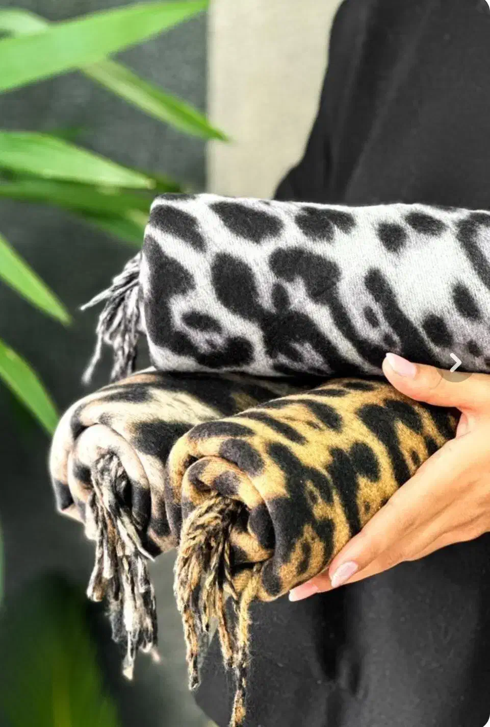 شال موهر|لباس|نیشابور, هفده شهریور|دیوار