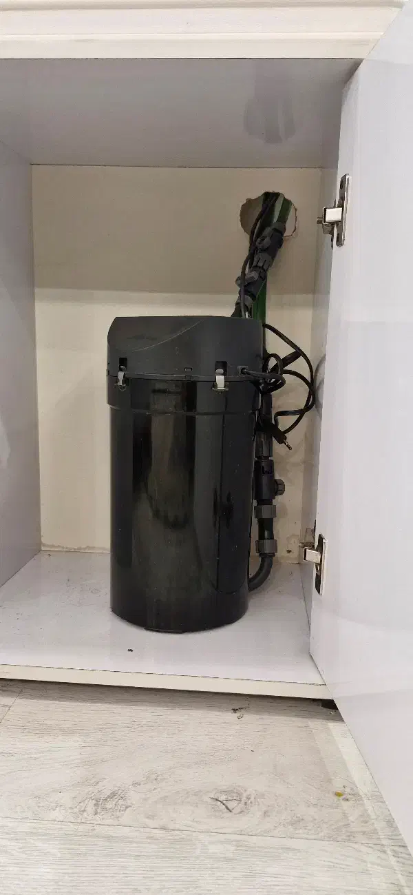 اکواریوم دلسا با پایه|ماهی|گرگان, |دیوار