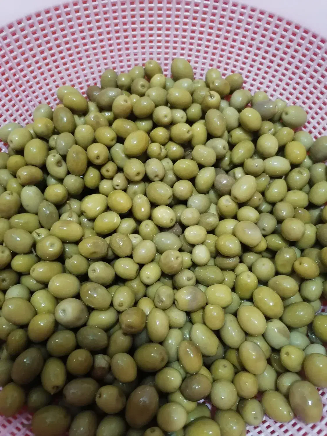 زیتون نمکی گوشتی|خوردنی و آشامیدنی|اهواز, کوی مهدیس|دیوار