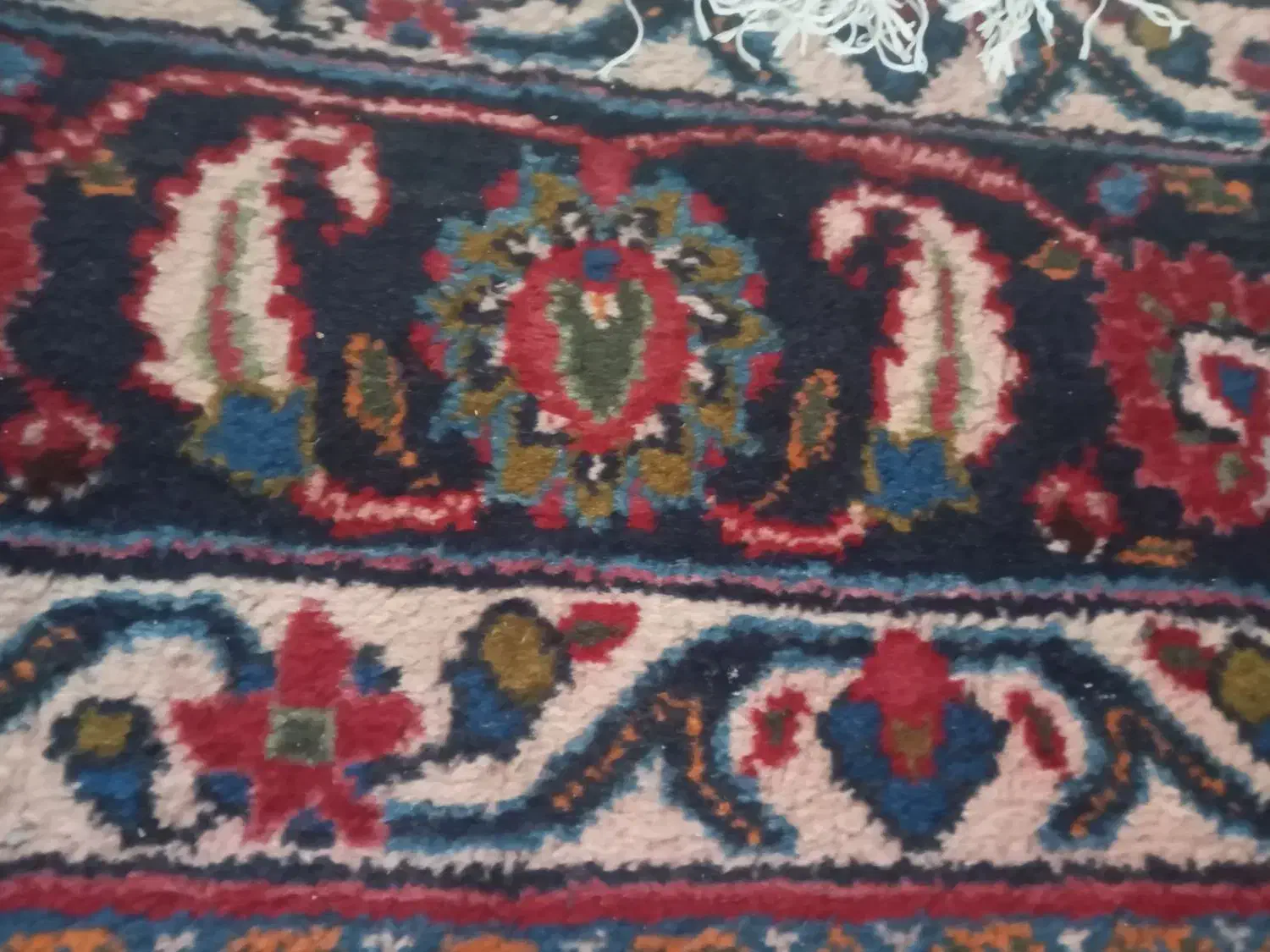 قالی فرش دستباف|فرش|گلبهار, شهر جدید گلبهار|دیوار