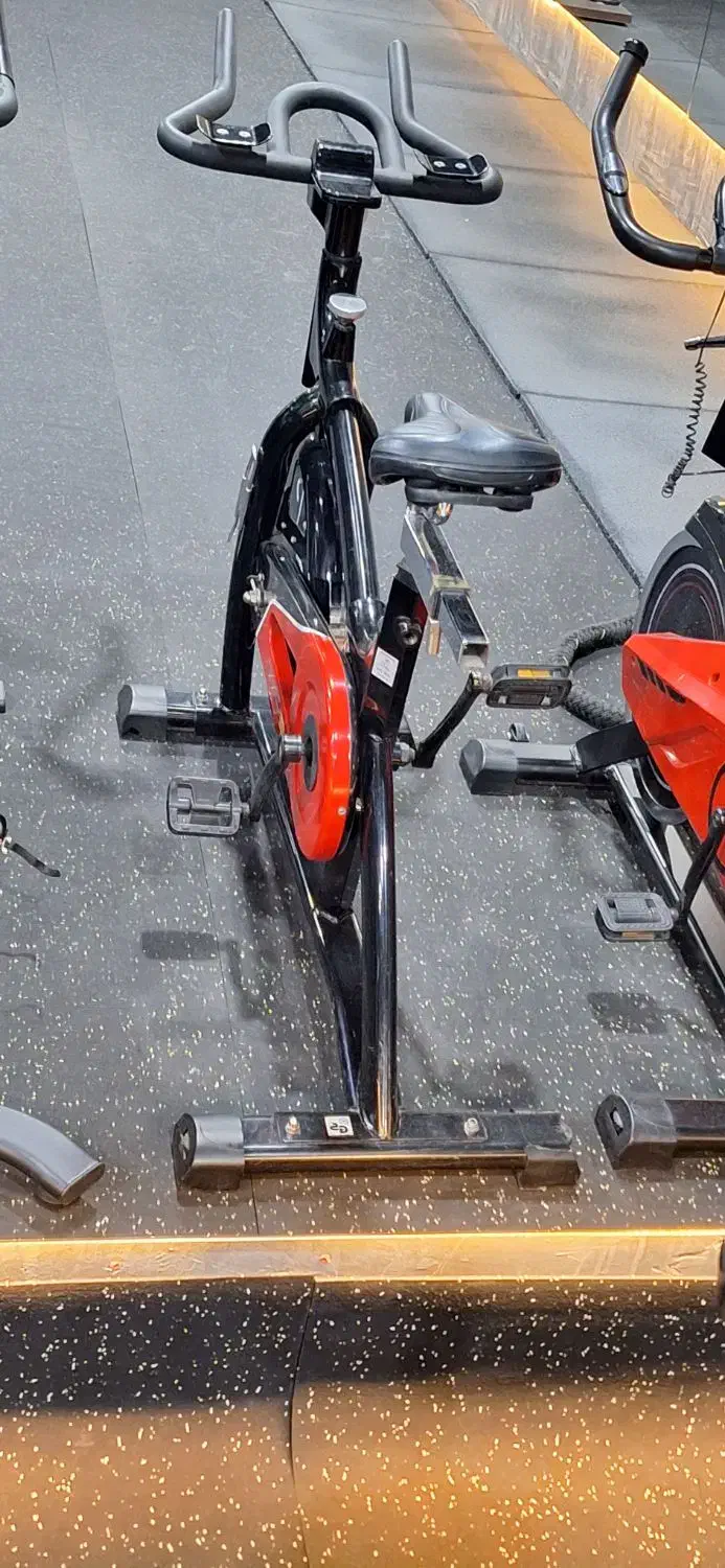 دوچرخه باشگاهی|تجهیزات ورزشی|لنجان, |دیوار