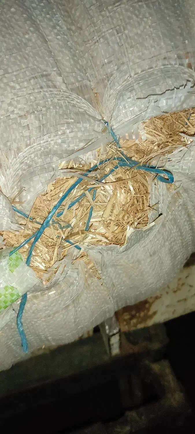 کاه خشک|حیوانات مزرعه|رودبار (کرمان), |دیوار