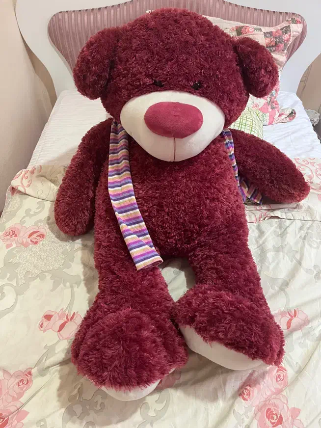 خرس بزرگ|اسباب‌‌بازی|رشت, بوسار|دیوار