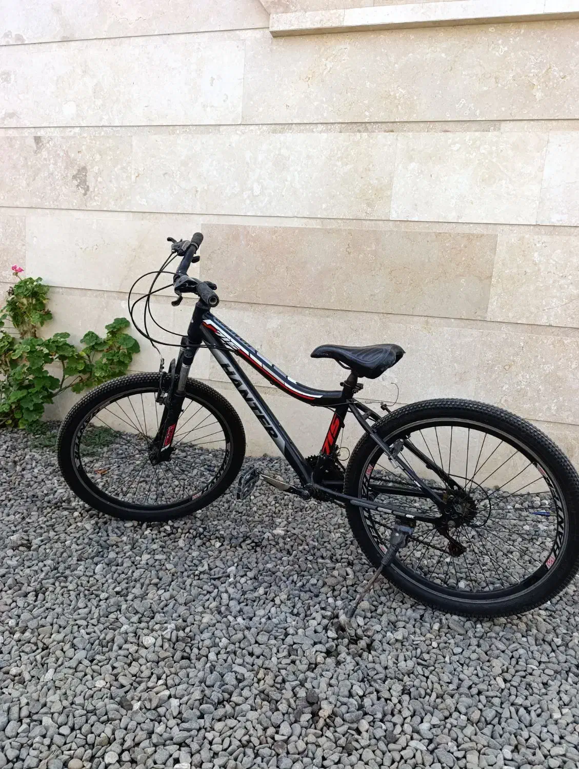 دوچرخه|دوچرخه، اسکیت، اسکوتر|تولم شهر, |دیوار