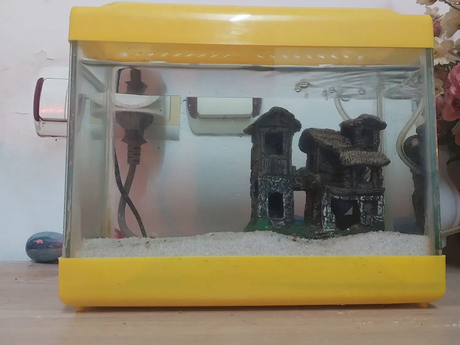 اکواریوم با پمپ|ماهی|بندر انزلی, معلم|دیوار