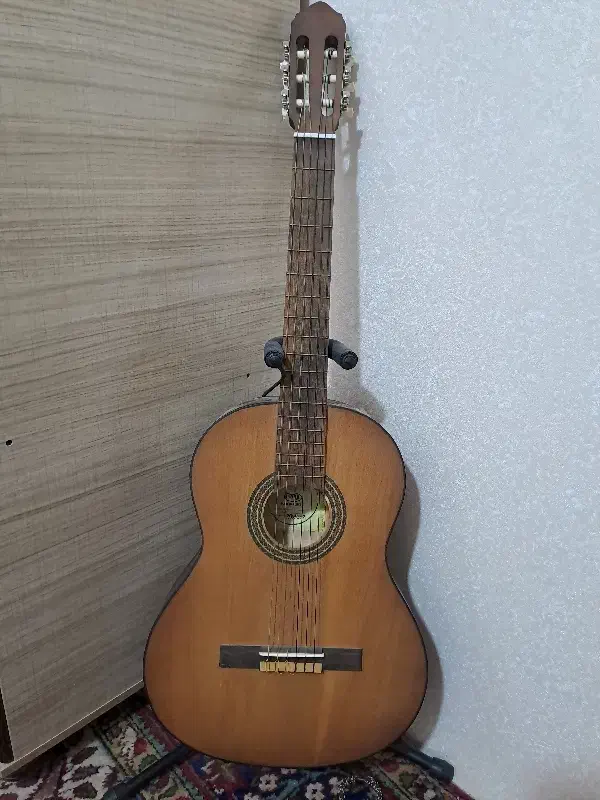 گیتار یاغمور ترکیه|گیتار، بیس، امپلیفایر|میاندوآب, |دیوار