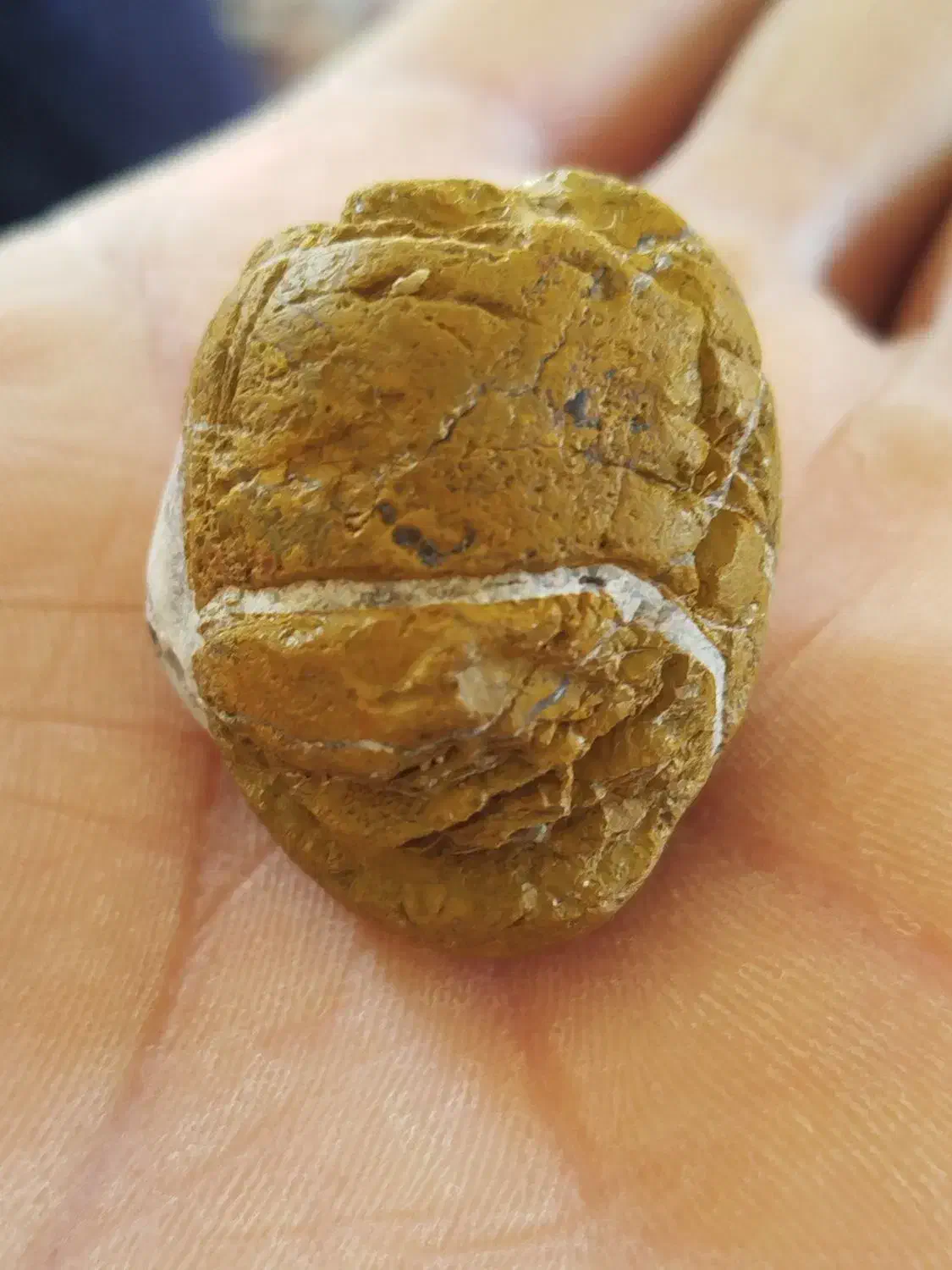 سنگ جواهری|جواهرات|خوی, |دیوار