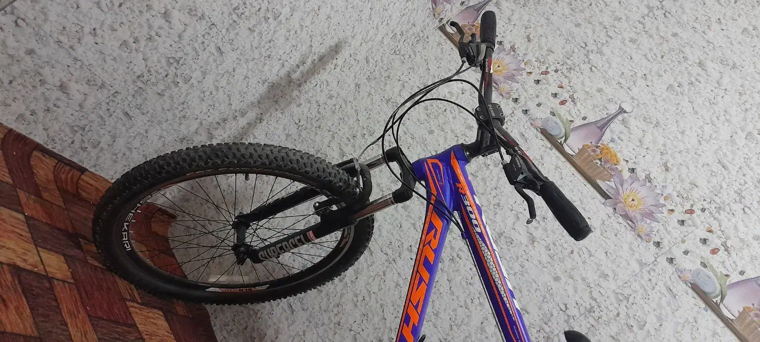 دوچرخه|دوچرخه، اسکیت، اسکوتر|گنبد کاووس, |دیوار