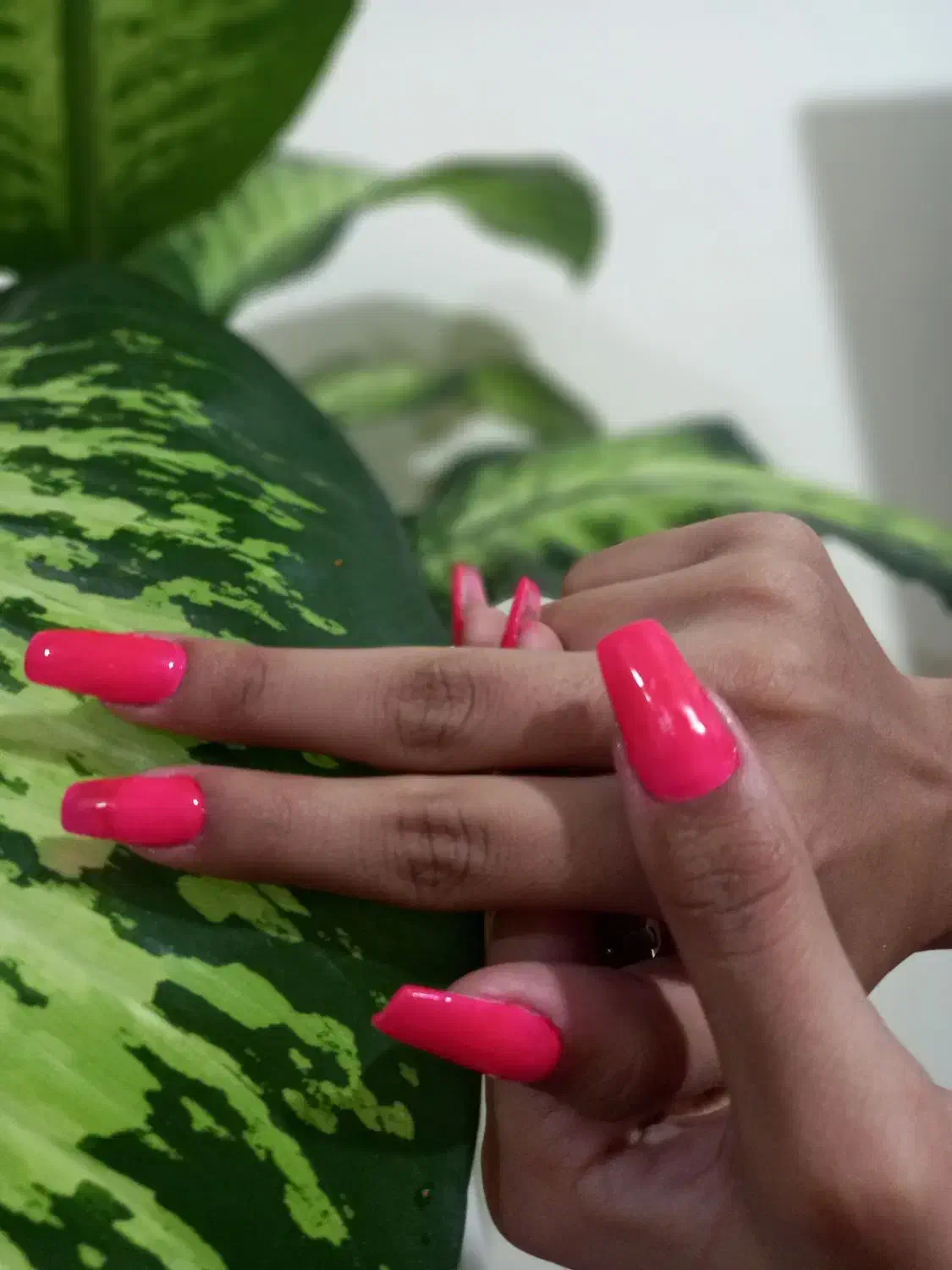 کاشت ناخن دست و پا|خدمات آرایشگری و زیبایی|تهران, شمیراننو|دیوار