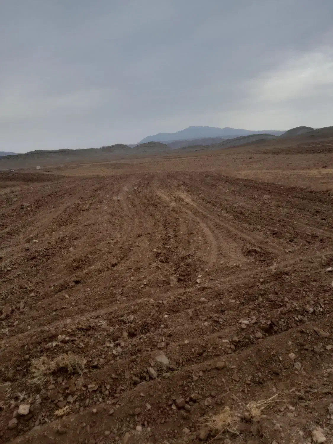 زمین کشاورزی درروستا|فروش دفتر صنعتی، کشاورزی، تجاری|خلجستان, |دیوار