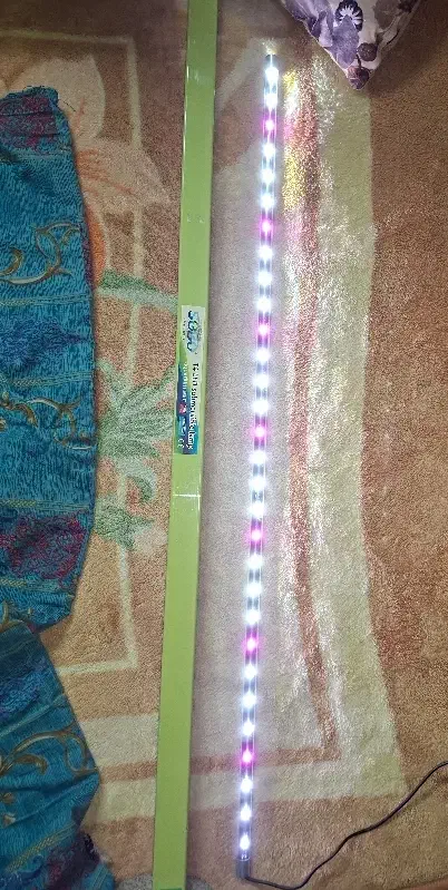 آکواریوم و لوازم|ماهی|قم, انصار‌الحسین|دیوار