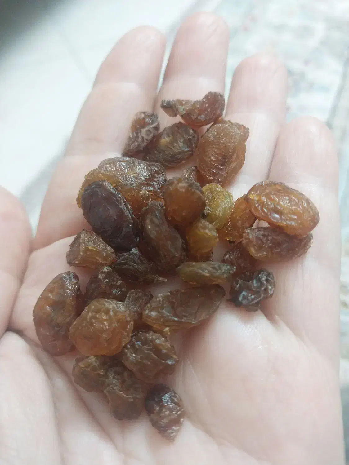 کشمش درجه یک تمیز|خوردنی و آشامیدنی|ساوه, |دیوار