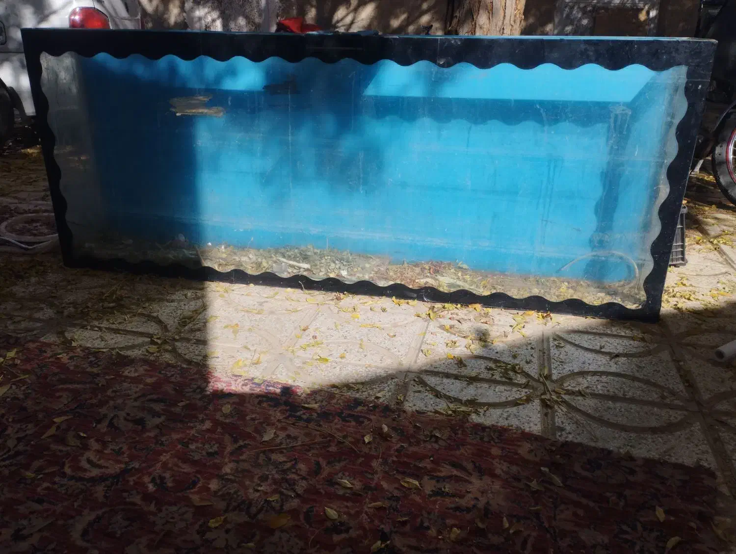 آکواریوم بزرگ|ماهی|نیشابور, ریوند|دیوار