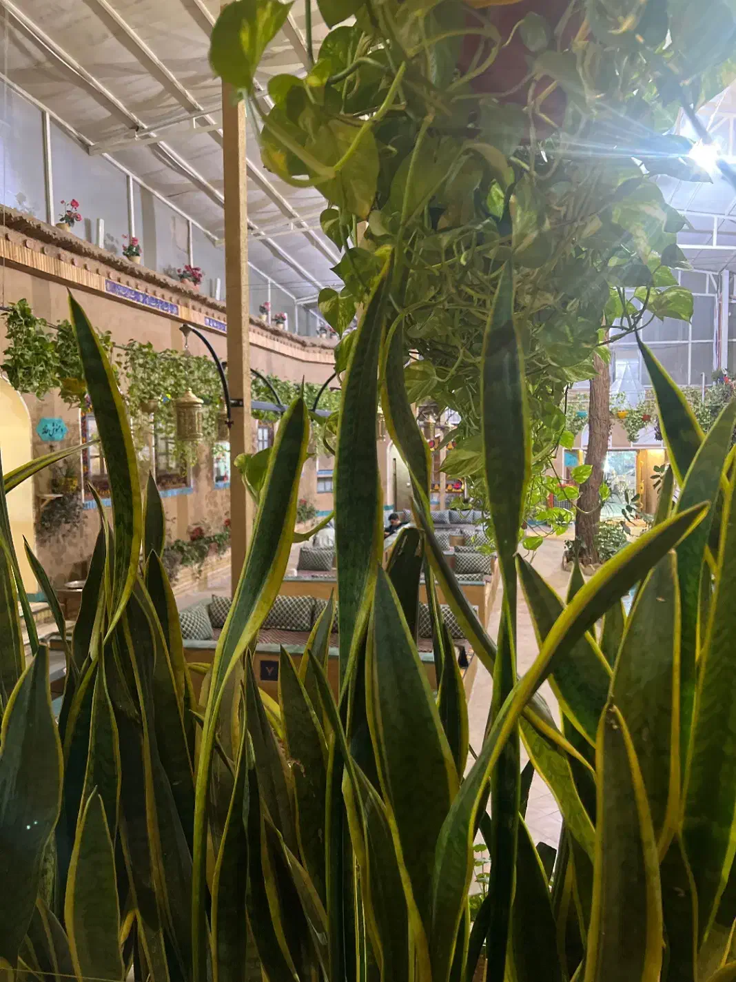 استخدام فوری نیروی اشپزخانه|استخدام خدمات فروشگاه و رستوران|شهرکرد, |دیوار