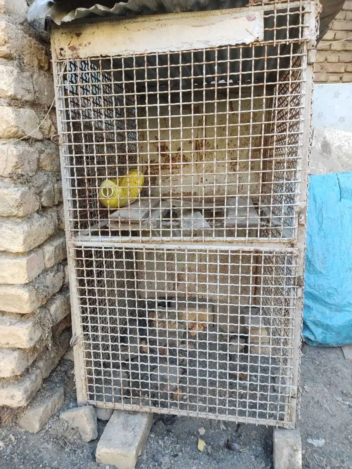 قفس مرغ|لوازم جانبی حیوانات|خوانسار, |دیوار