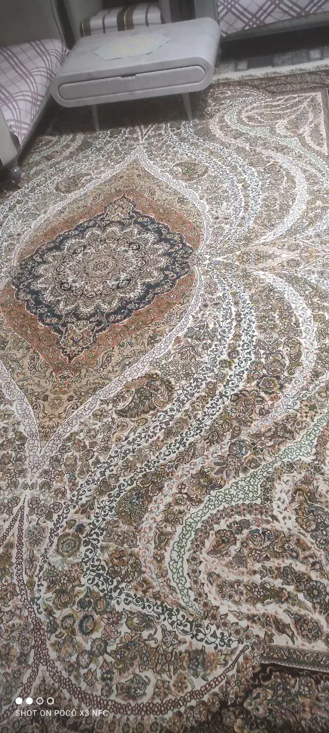 فرش|فرش|تربت‌حیدریه, شهرک ولیعصر|دیوار