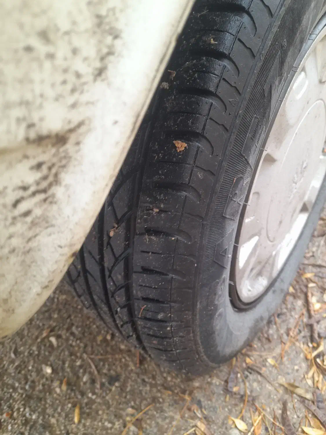 پیکان وانت مدل ۸۶|خودرو سواری و وانت|میامی, |دیوار