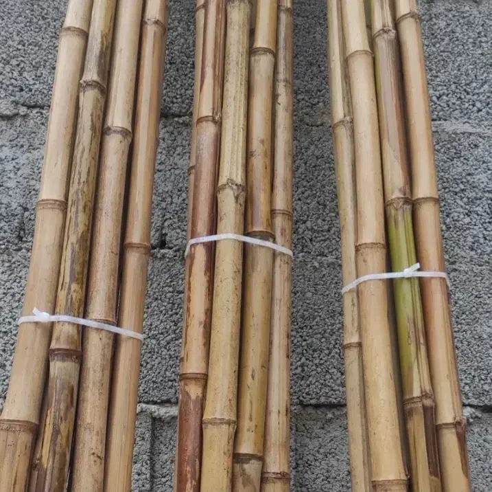 نی بامبو|صنایع دستی و سایر لوازم تزئینی|نیشابور, گنبد سبز|دیوار