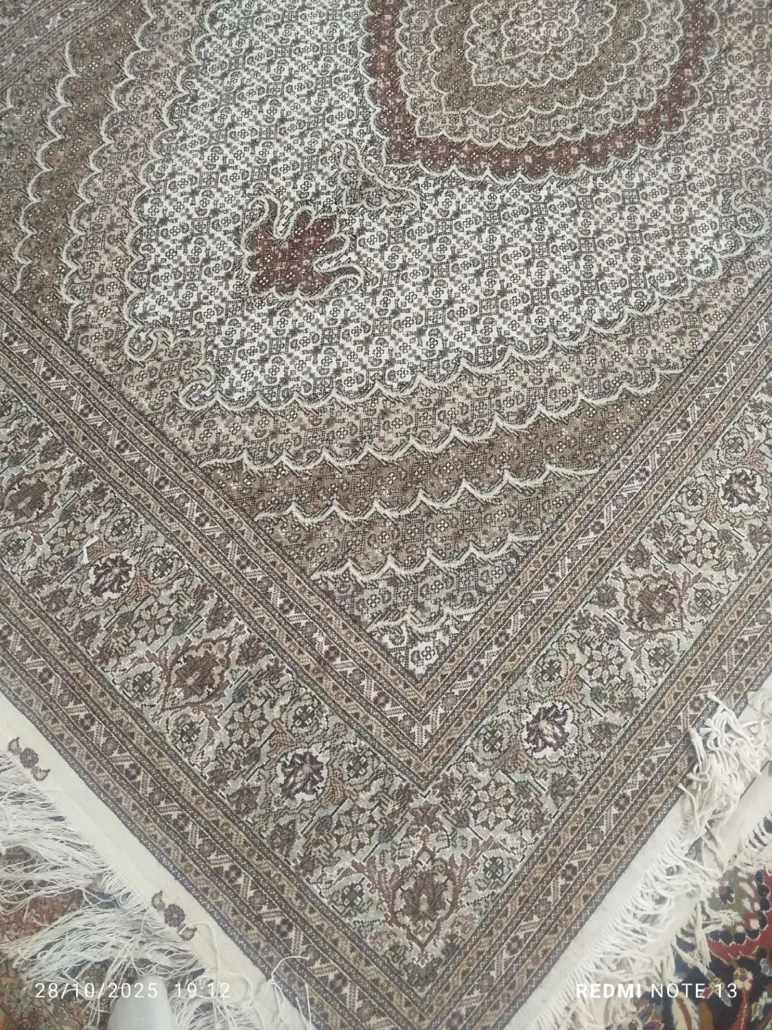 تک ۶متری حاشیه افسری برجسته دار|فرش|خوی, |دیوار