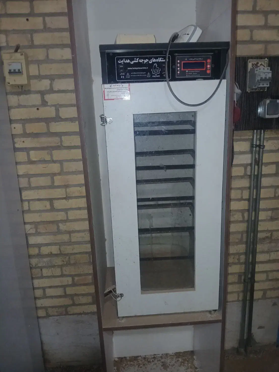 دستگاه جوجه کشی|لوازم جانبی حیوانات|یزد, |دیوار
