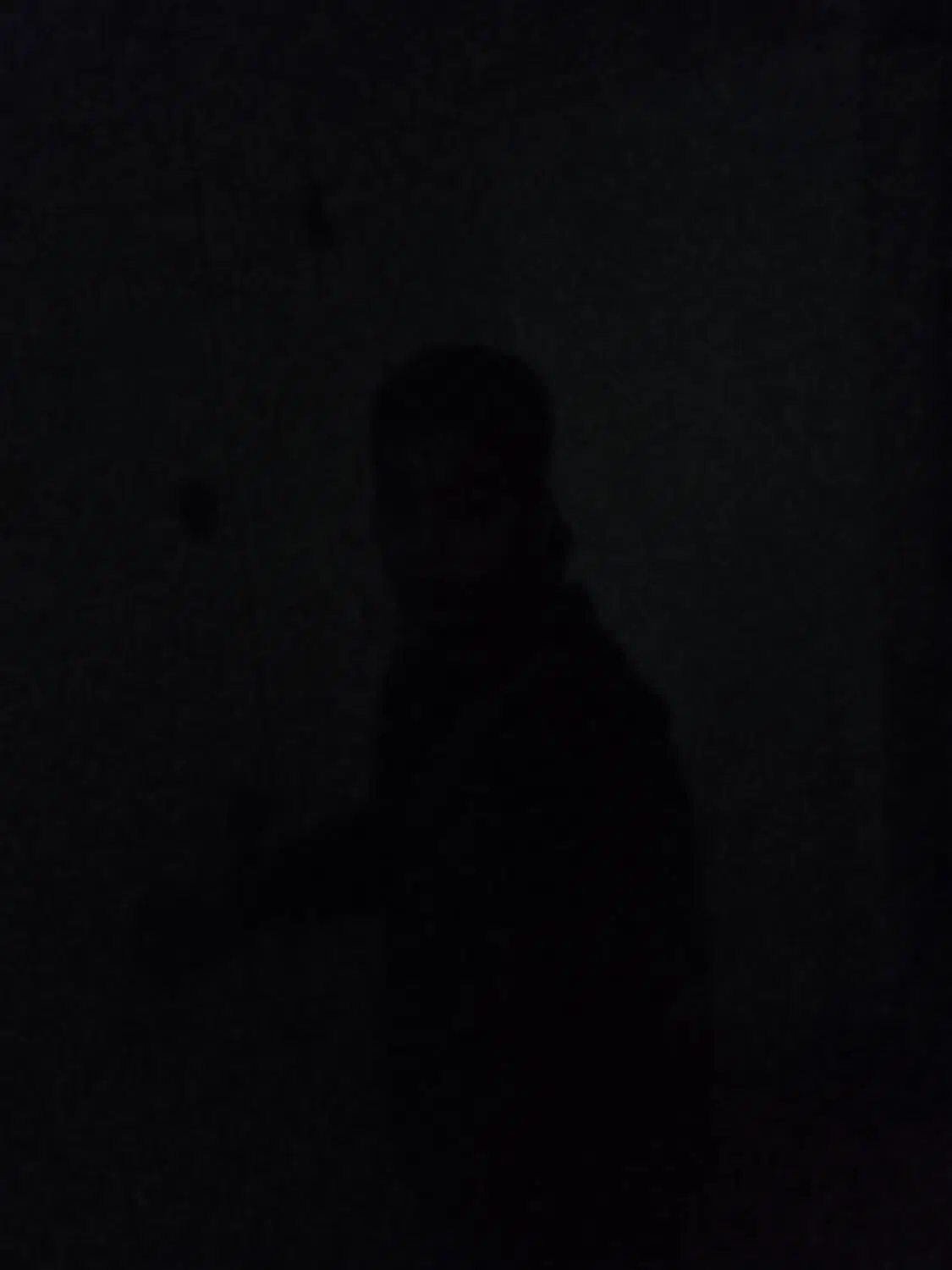 کیف دوچرخه گم شده در کاشفی و بیهق|اشیا|سبزوار, کاشفی شمالی (دادگستری)|دیوار