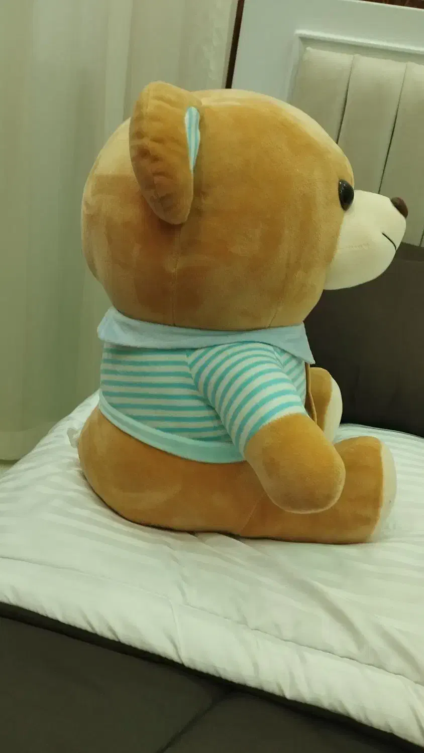 عروسک خرس|اسباب‌‌بازی|کرج, شهرک بنفشه|دیوار