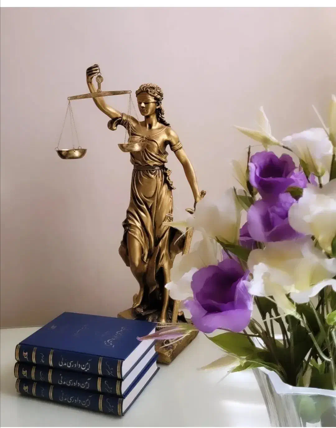 وکیل ومشاور حقوقی|خدمات مالی، حسابداری، بیمه|فسا, |دیوار