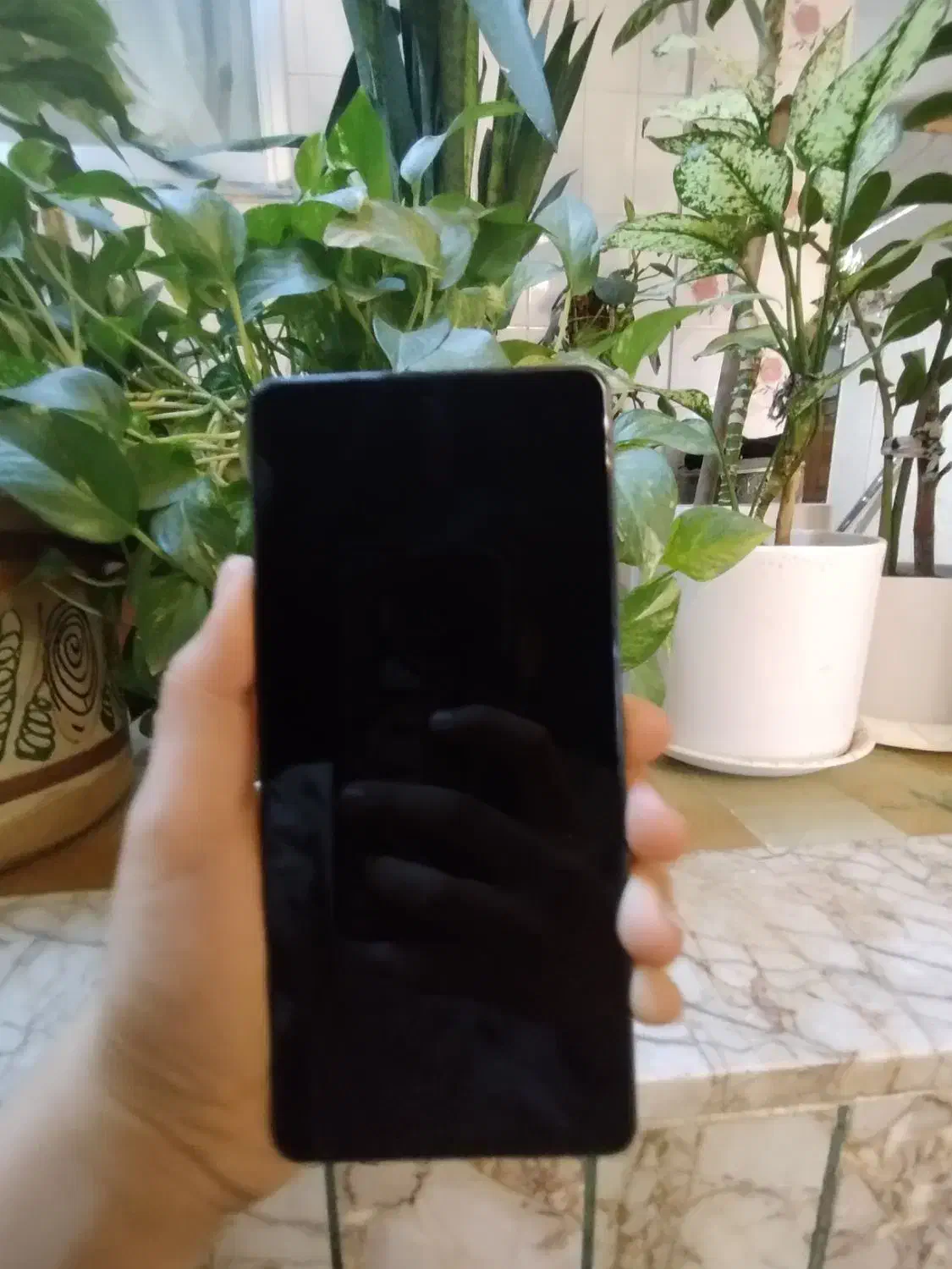 poco m6 pro|موبایل|مشهد, حرم مطهر رضوی|دیوار