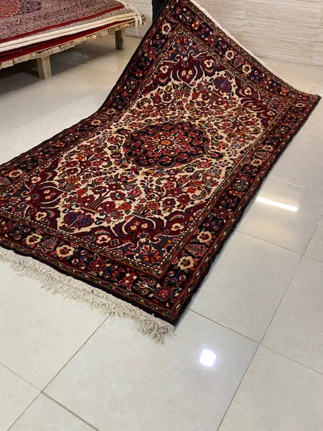 جفت پرده ای برچلو همدان گیاهی گوشتدار سالم|فرش|همدان, |دیوار