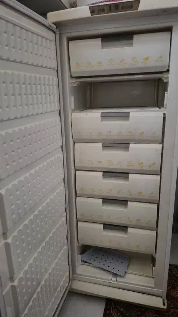 فریزر ارج|یخچال و فریزر|قم, وادی السلام|دیوار