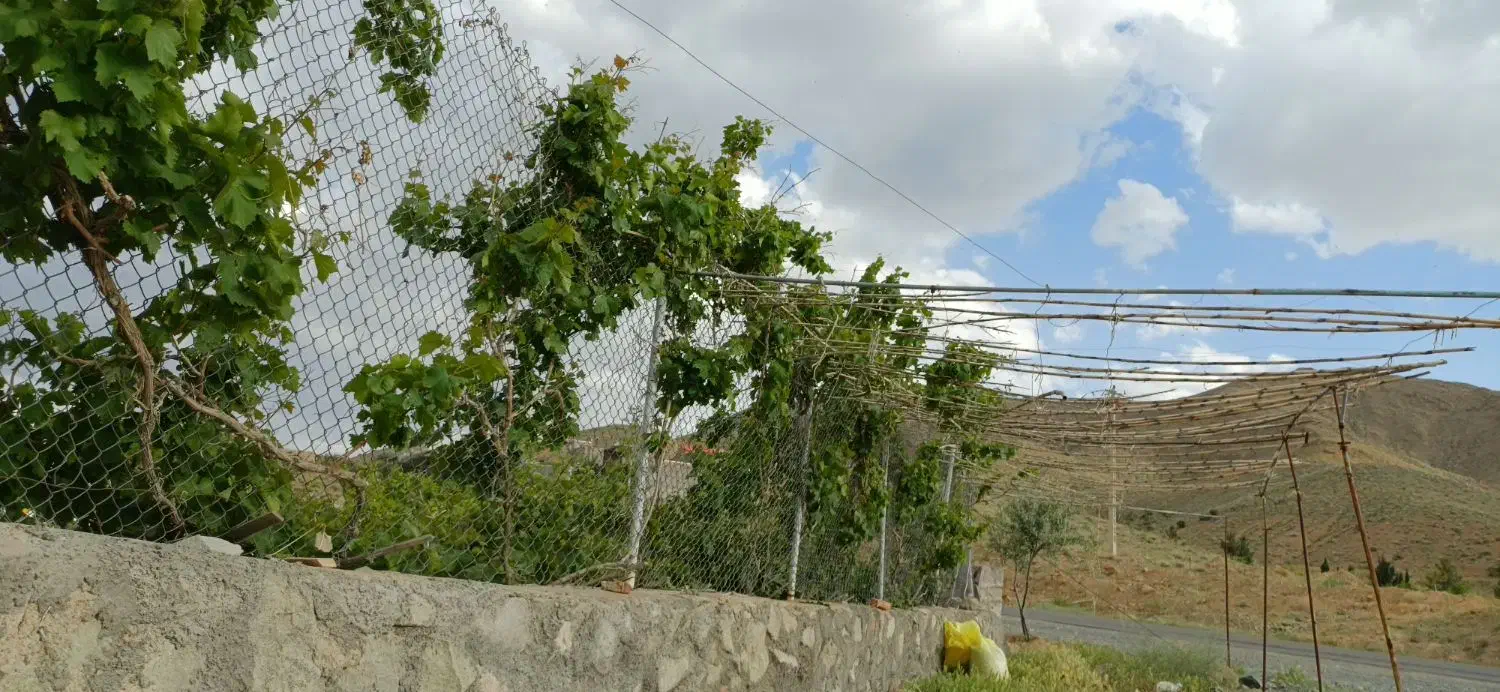 تصویر 4