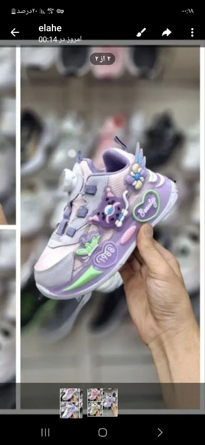 کفش کودک پاپا|کیف، کفش، کمربند|ایوان, |دیوار