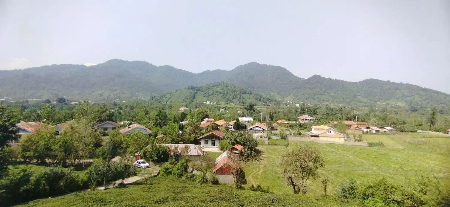 ۳هزارمتر خانه و محوطه پلاک صفر جنگل/قلعه رودخان|فروش زمین و ملک کلنگی|فومن, |دیوار