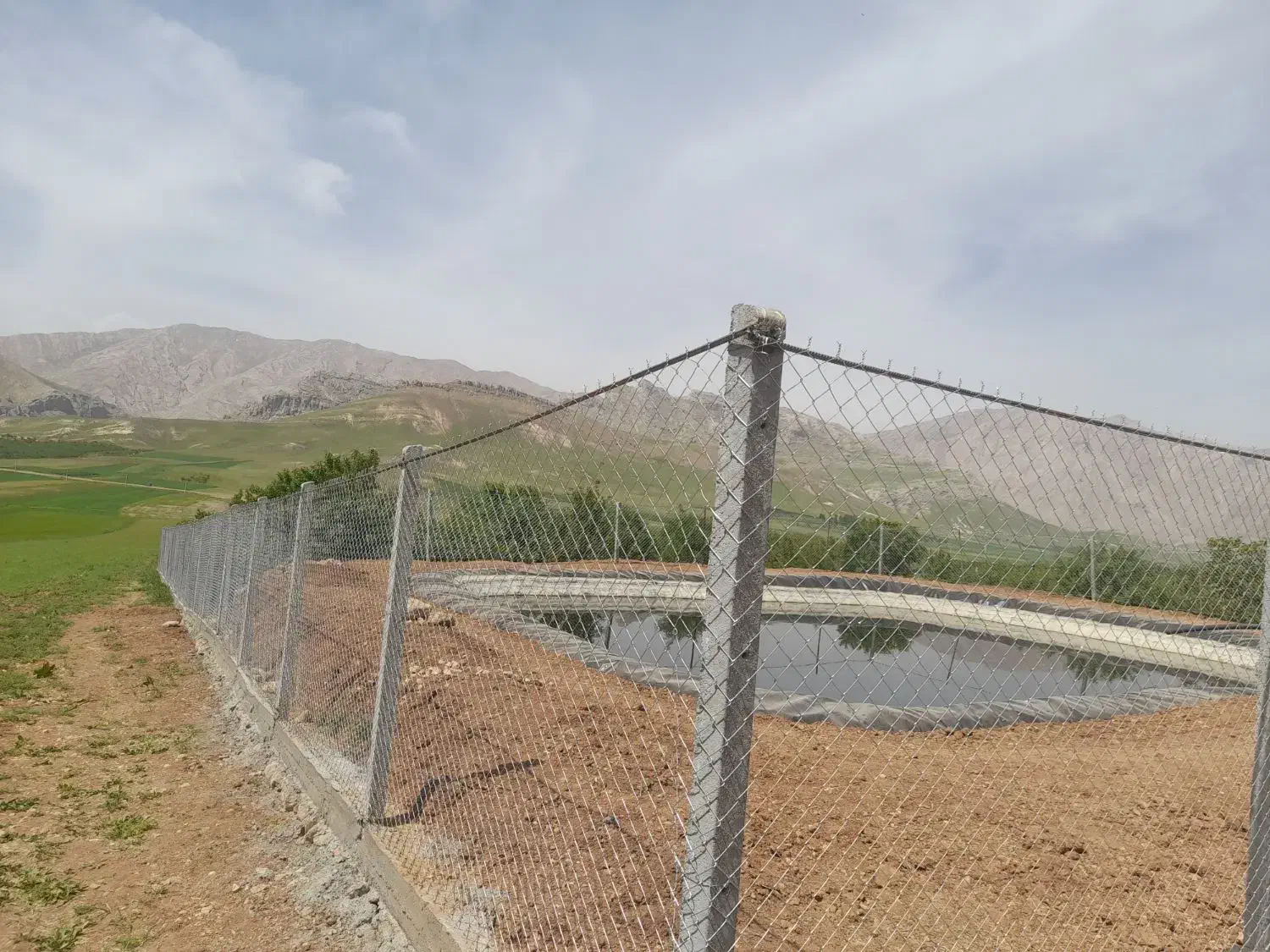 پایه فنس بتنی پایه سیمانی داربست انگور|خدمات باغبانی و درختکاری|لنجان, |دیوار