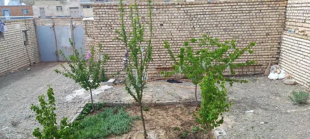 خانه ویلایی|فروش خانه و ویلا|دهق, |دیوار