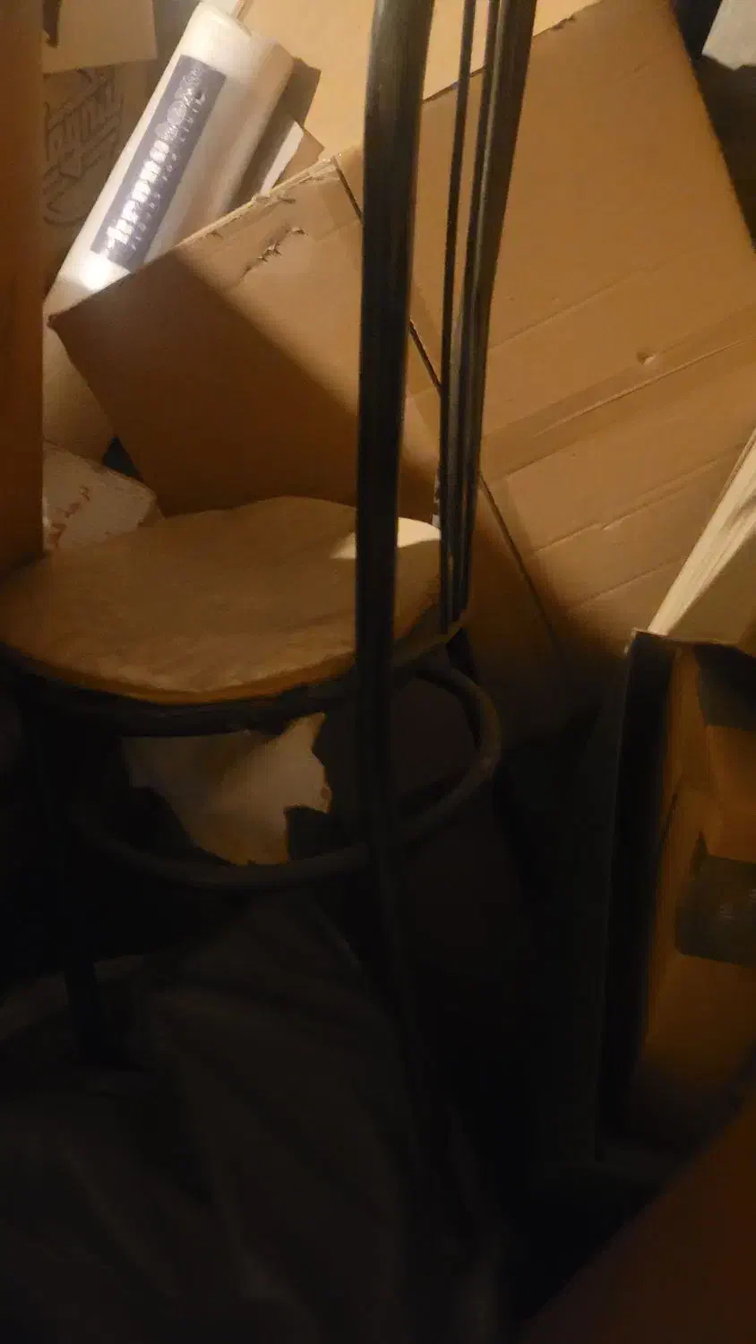 فرش ماشینی ۶ متری به همراه وسایل اضافه|فرش|رشت, دیلمان|دیوار