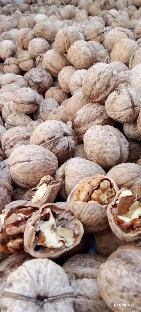 گردو کاغذی|خوردنی و آشامیدنی|سربند, |دیوار