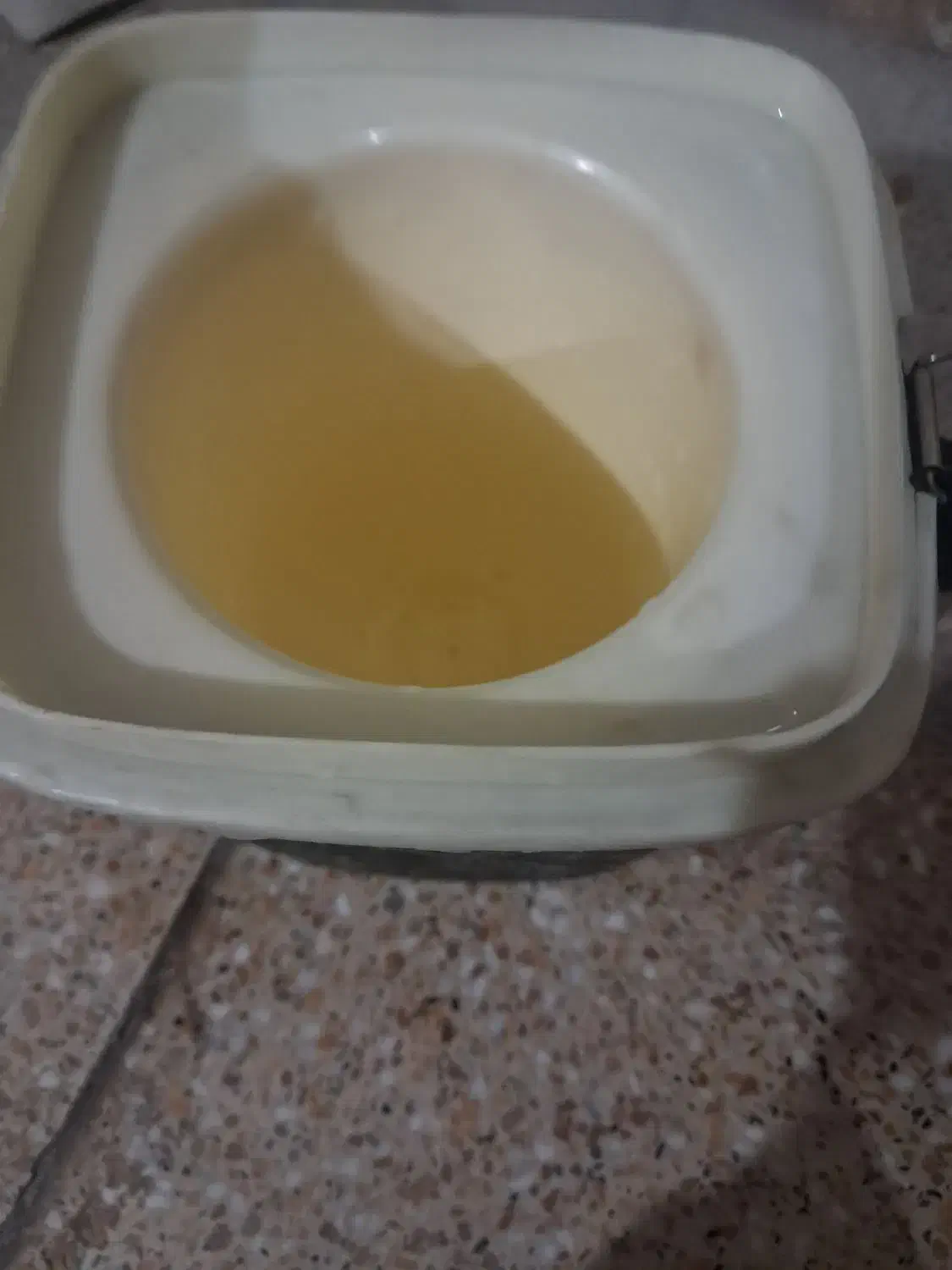 ظرف نگهدارنده غذا|ظروف نگهدارنده، پلاستیکی، یکبارمصرف|رباطکریم, رباطکریم|دیوار